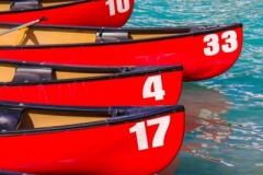 02-33 Takes the Lead
