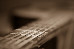 18-Slim Pickin's