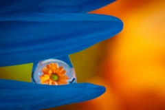15-Beautiful Refraction