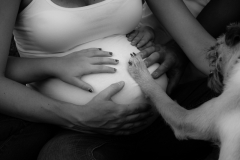 31-Pregnant Paws