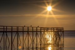 10-Basking in the Glow